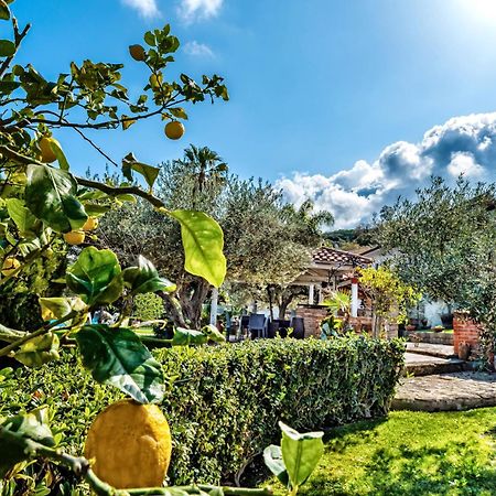 B&B Villa Bency Capo d'Orlando Bagian luar foto