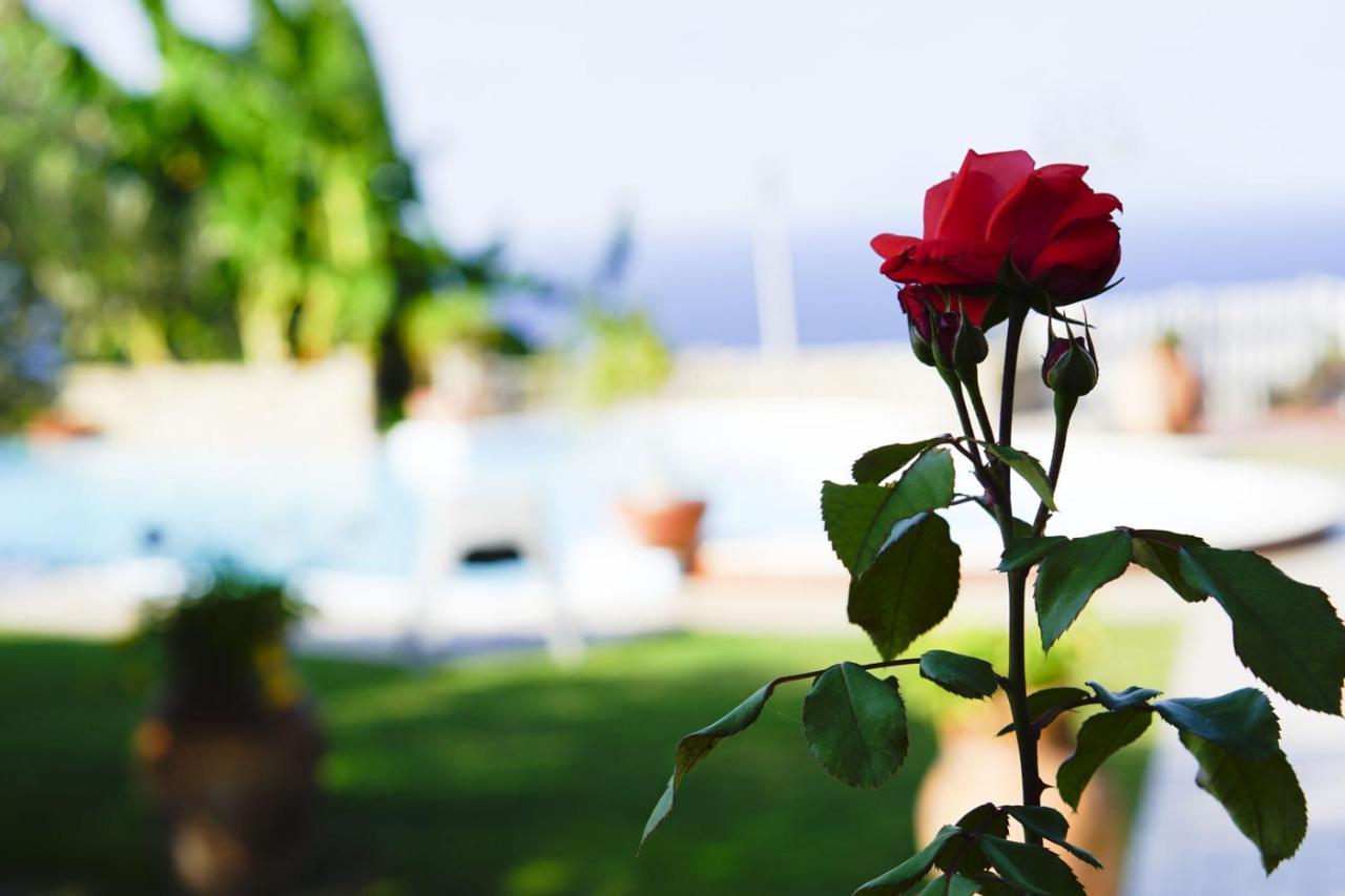 B&B Villa Bency Capo d'Orlando Bagian luar foto